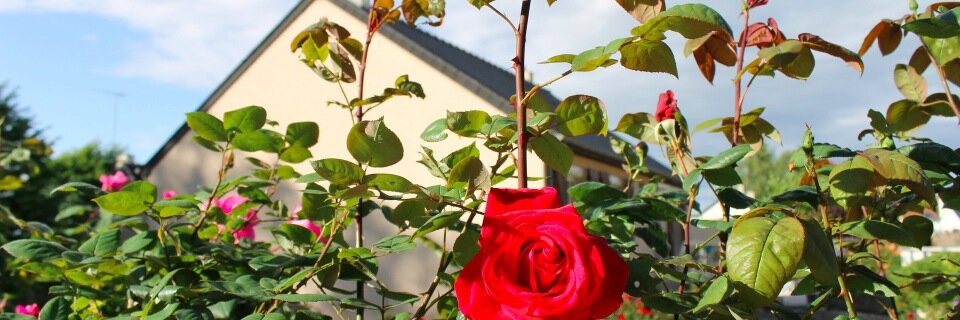 plmcgrew's profile banner image