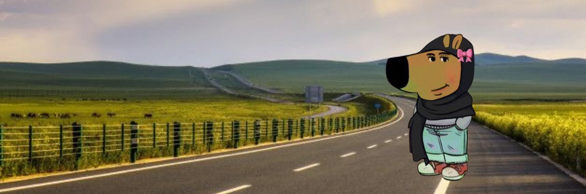 lilaa 𖤐₊˚. banner