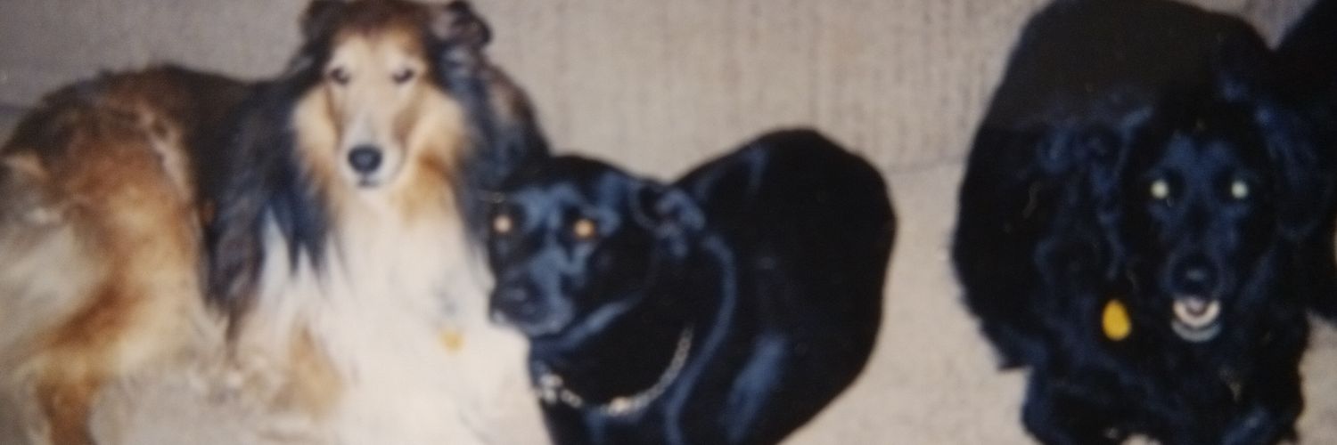 MomBoop1's profile banner image