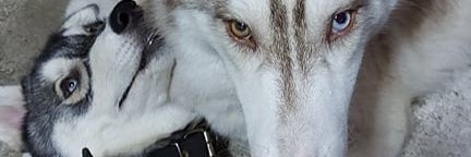 rxinebows's profile banner image