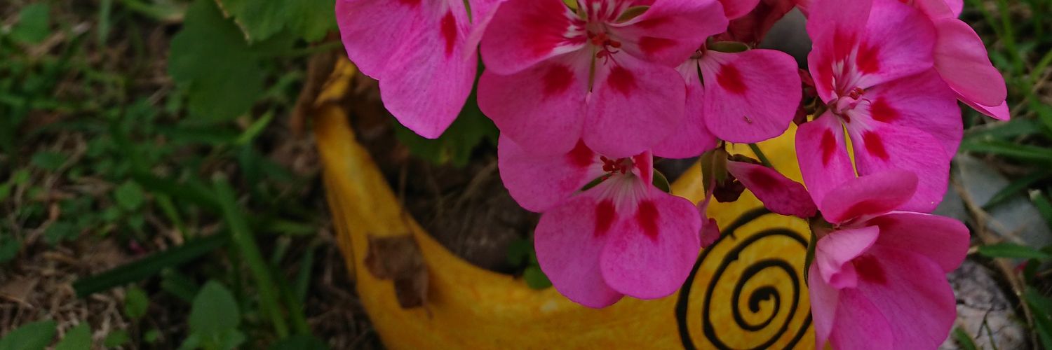 leduc65's profile banner image