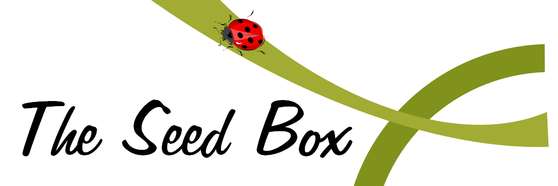 _theseedbox's profile banner image