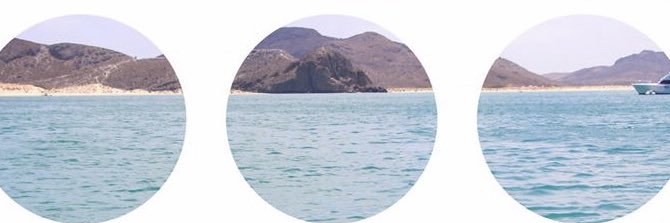 thiyerina's profile banner image