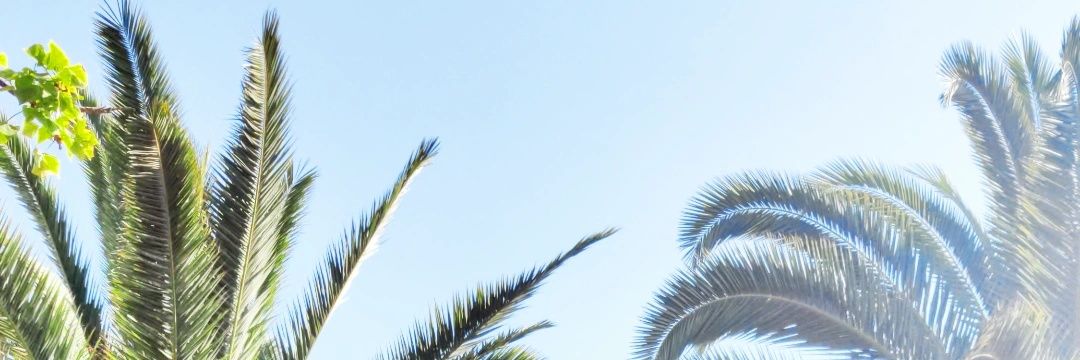 DyriskMusic's profile banner image