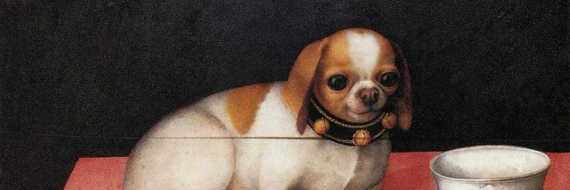 jai_weezy's profile banner image