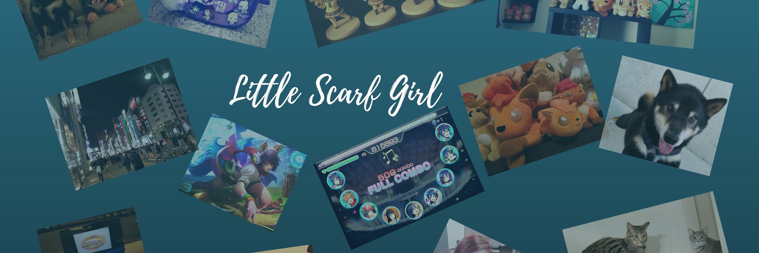 LittleScarfGirl's profile banner image