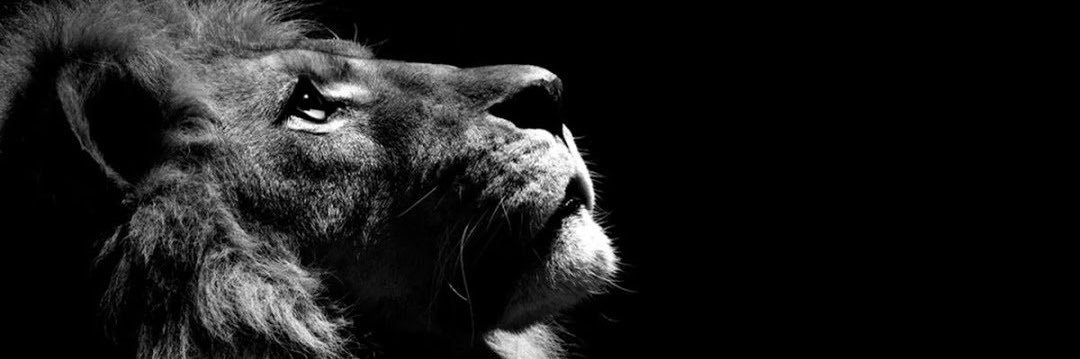 ClnTorrano's profile banner image