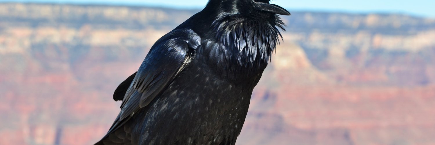 770Regal's profile banner image