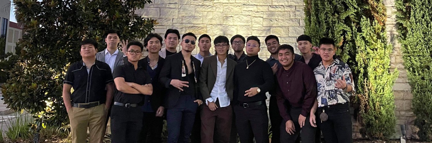 slnguyen_'s profile banner image