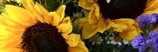 sherry b banner