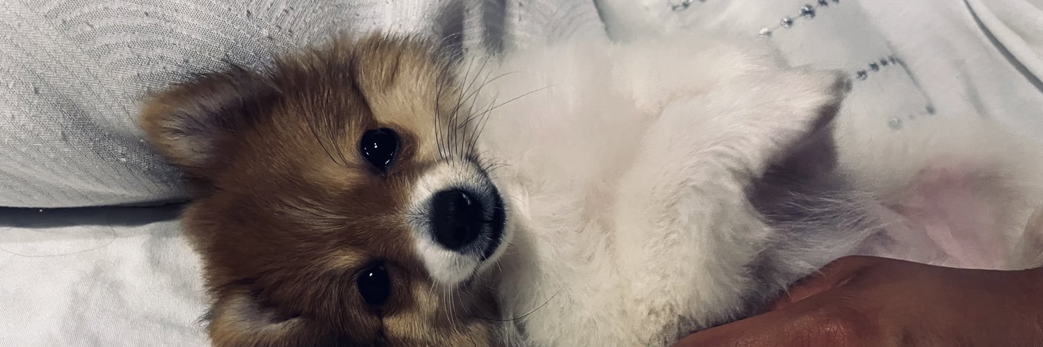 JayAlyin's profile banner image