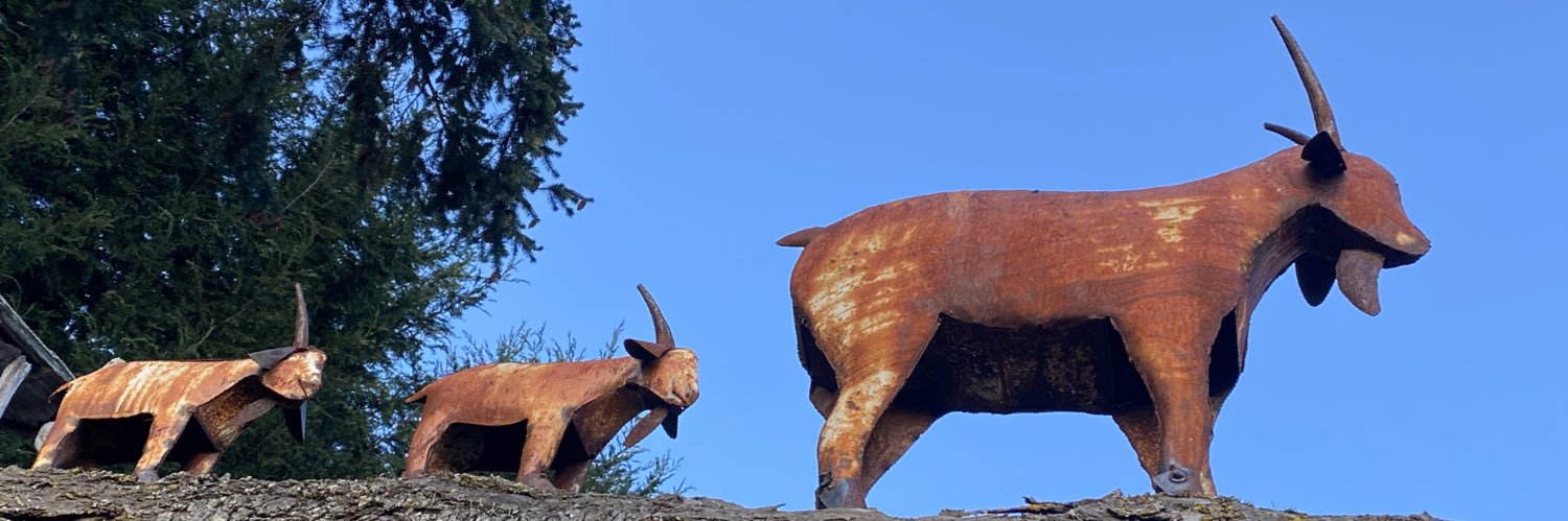 Steve LaRocca banner