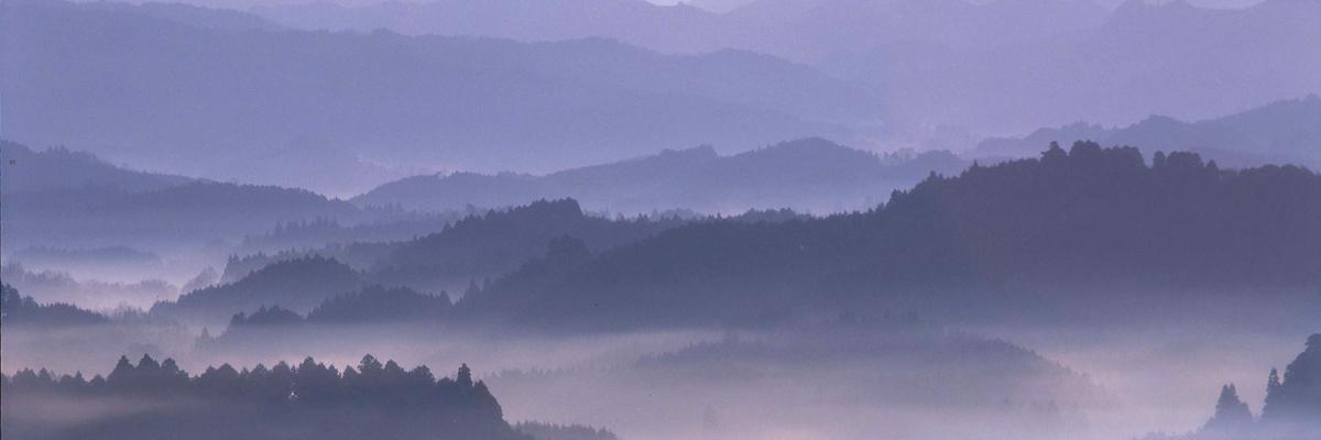 crotako's profile banner image