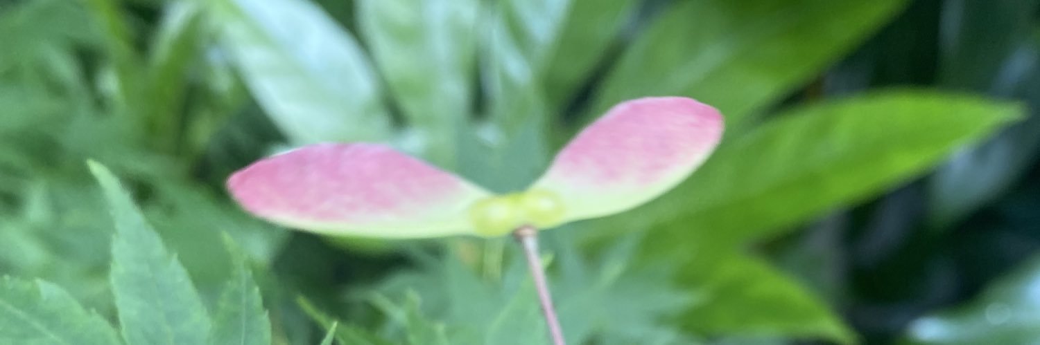 茶まる banner
