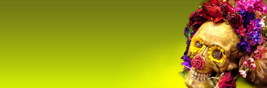 dbstevens's profile banner image