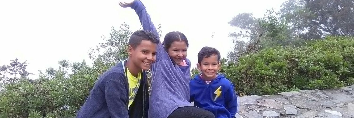 ruysalazar's profile banner image