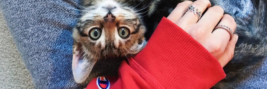 DanikaWatson's profile banner image