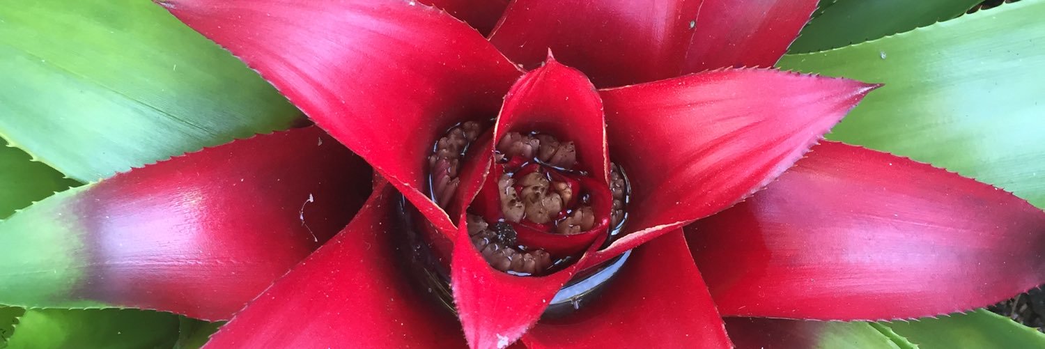Beaudele's profile banner image