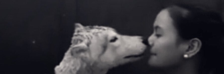 bashbustamante's profile banner image