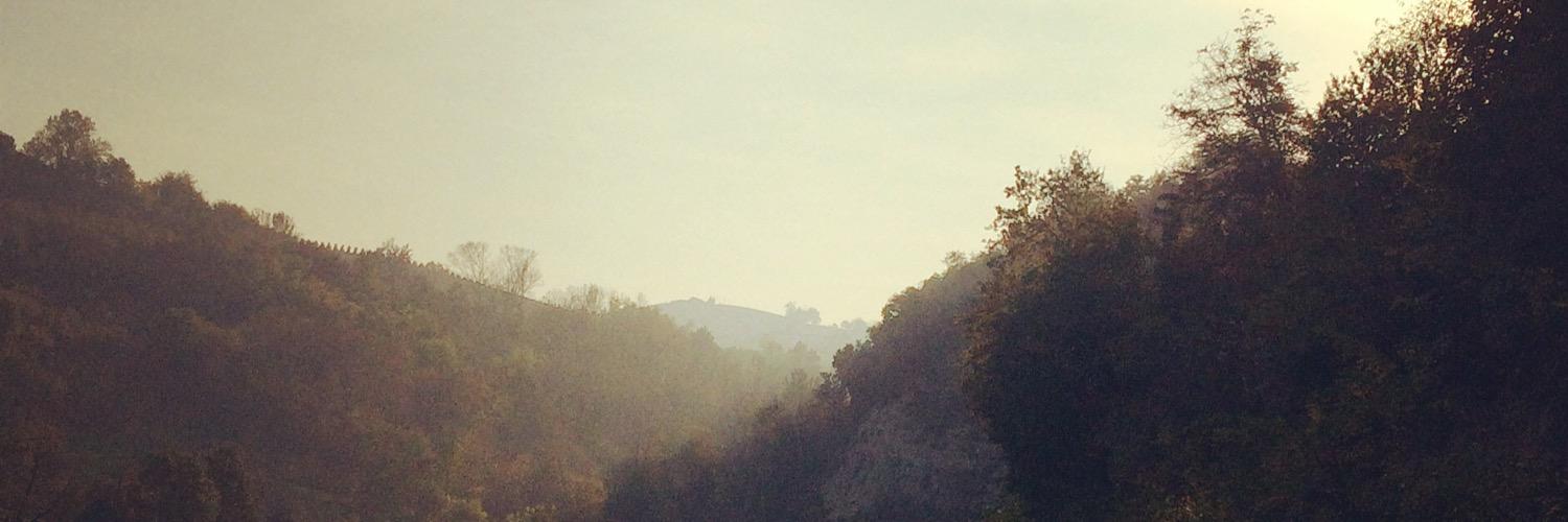 tronderling's profile banner image