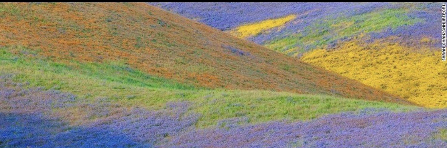 vic_hartbart's profile banner image
