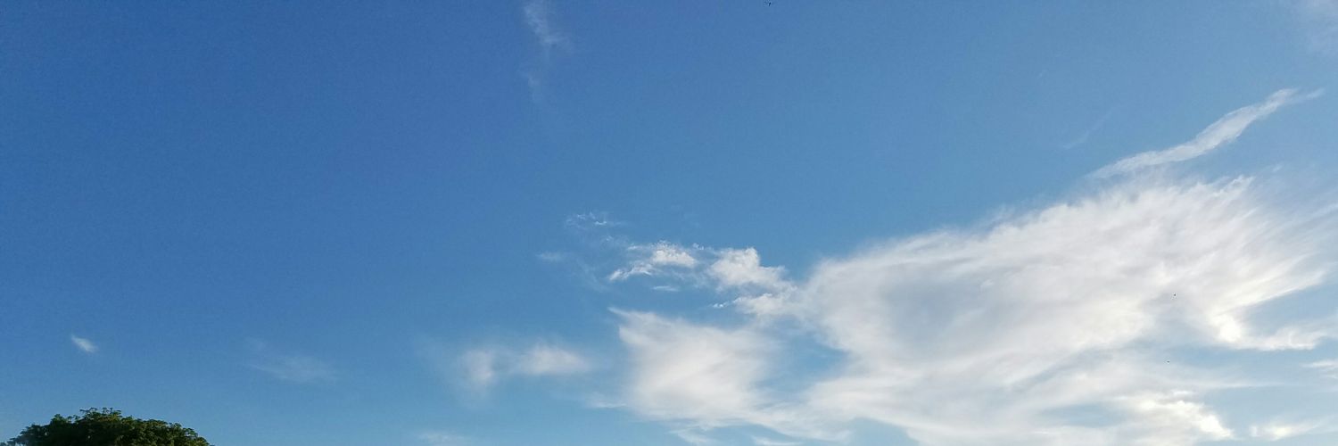 TStarkowski's profile banner image