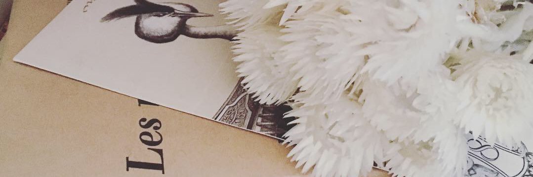 fufunag's profile banner image