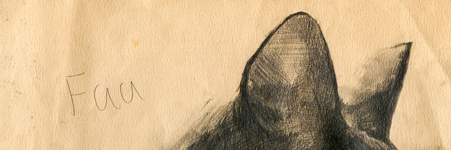 kuma751sette's profile banner image