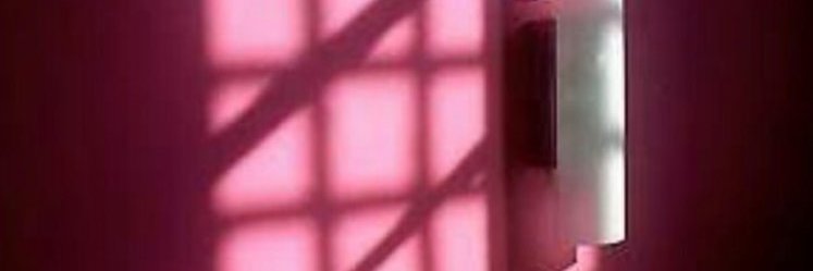 softbabiebun's profile banner image
