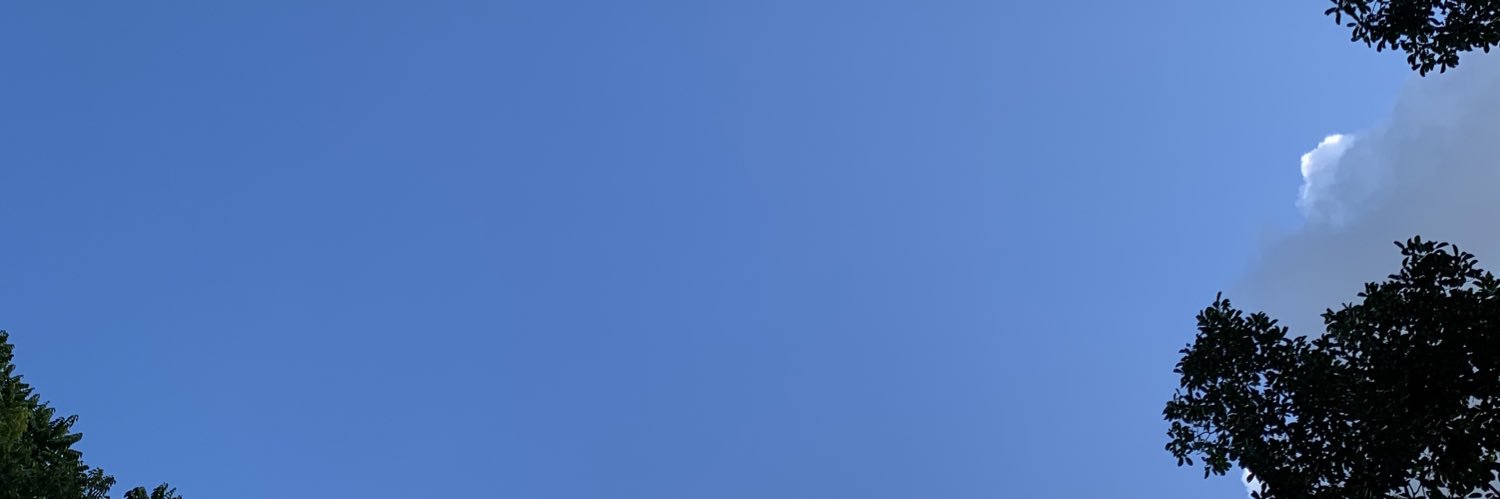MSinAus's profile banner image