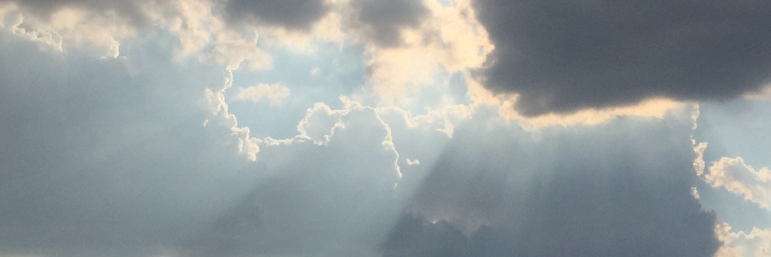 dfw2sea's profile banner image