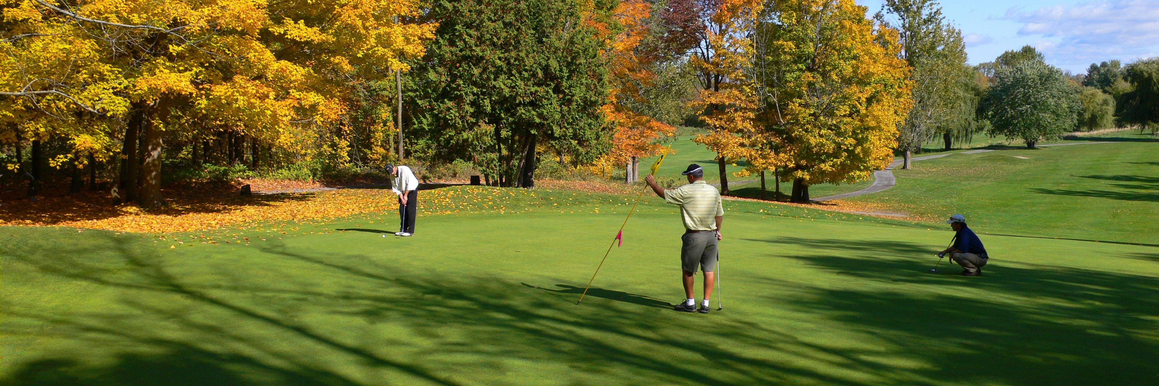 OttawaGolf banner