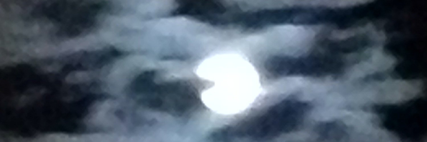 owlflights52's profile banner image