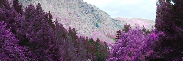 James Garforth (jamesgarforth.bsky.social) banner