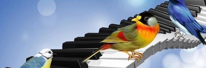 KurdishNymph's profile banner image