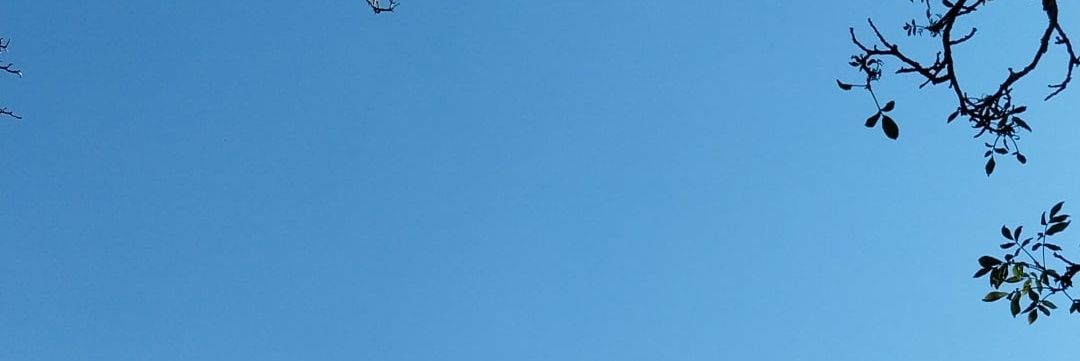 _mlibo_'s profile banner image