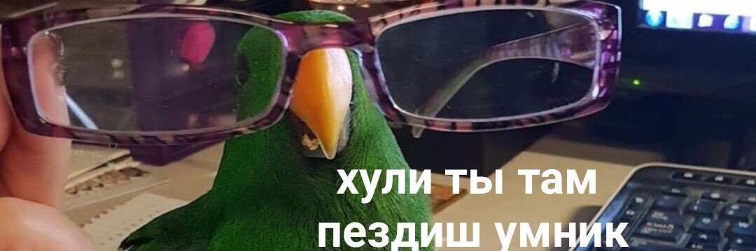 Люси banner