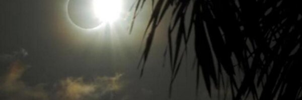 Insane_Itchy Profile Banner