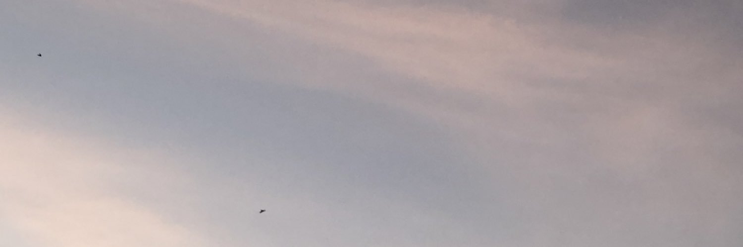 vnllmds's profile banner image