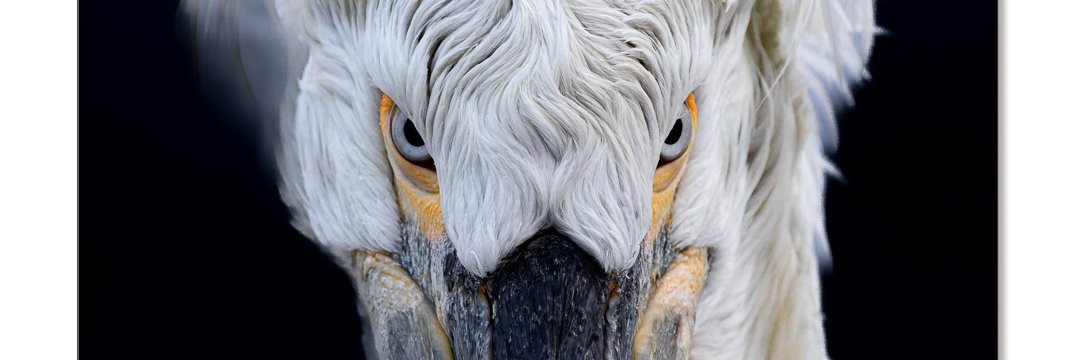 ChrisBournPhoto's profile banner image