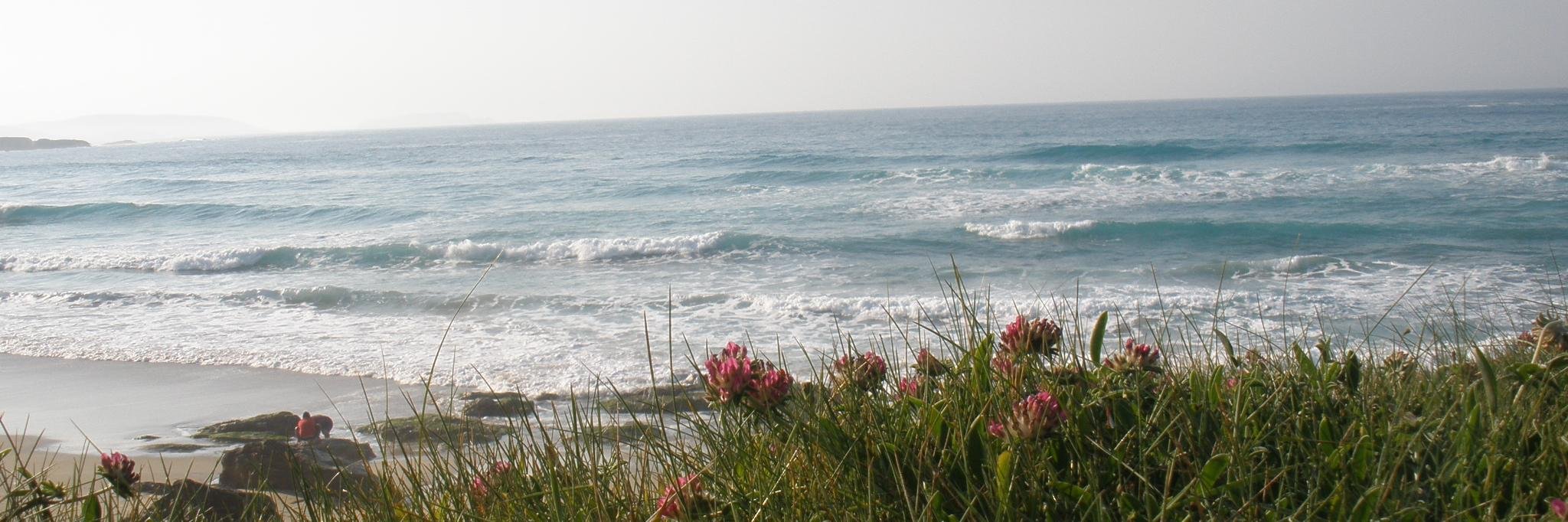 lorena_arbore's profile banner image