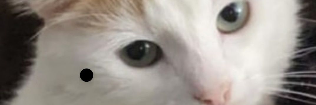 IreKhalid's profile banner image