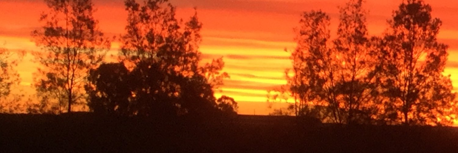 jmannix6's profile banner image