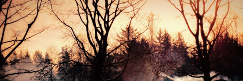 AntoineLmb's profile banner image