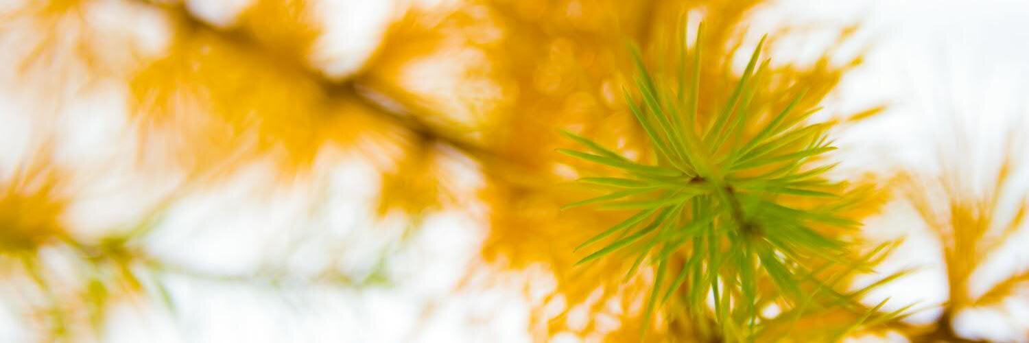 Константин Жуков banner