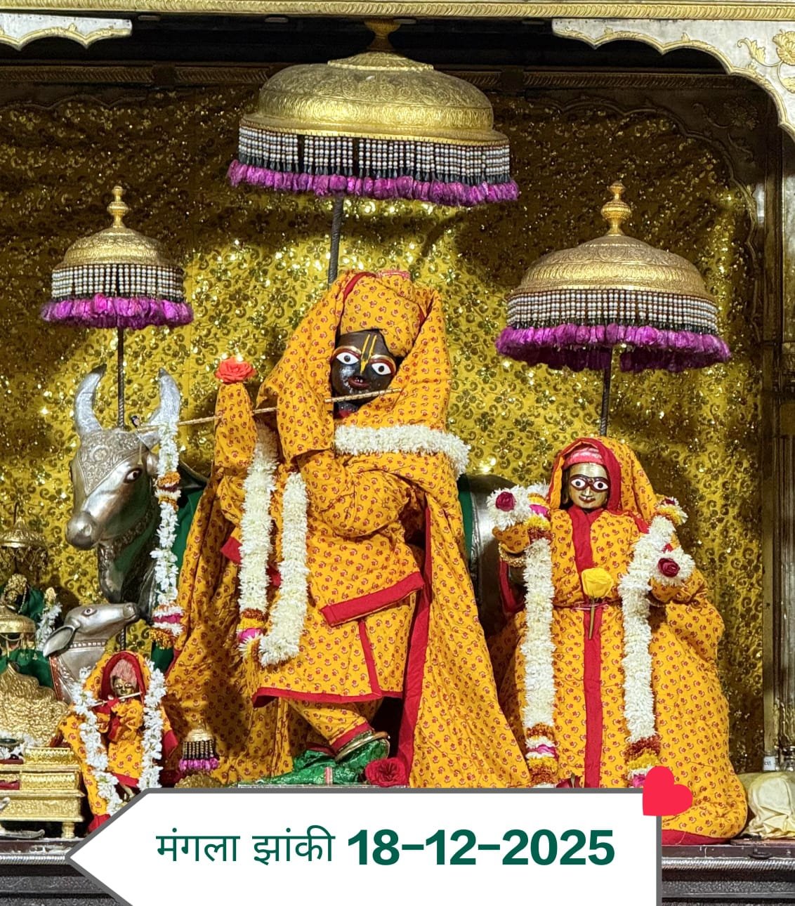 Rajasthan news banner