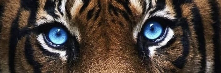 alex_chris23's profile banner image