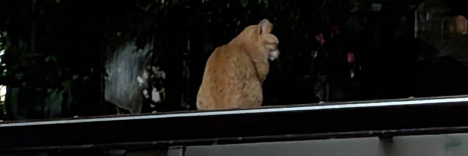 0kfz_'s profile banner image