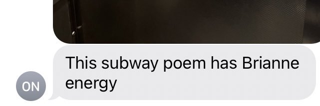 brianne johnson banner