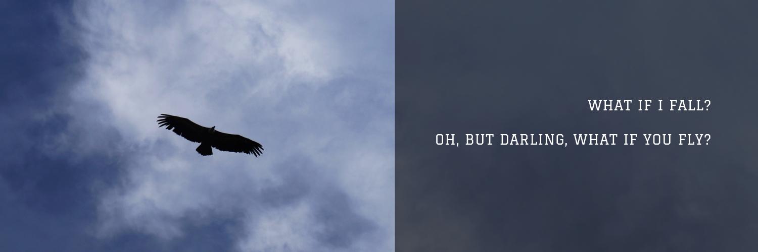 laurachary's profile banner image